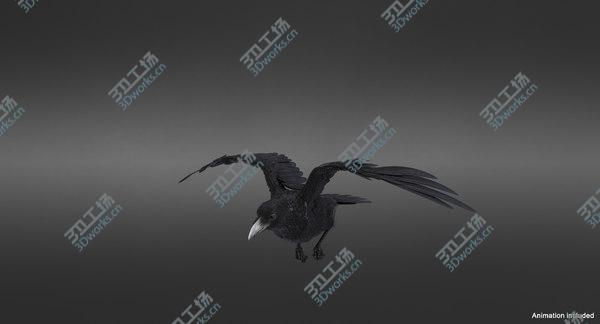 images/goods_img/20210312/Raven Animated Collection 3D model/5.jpg